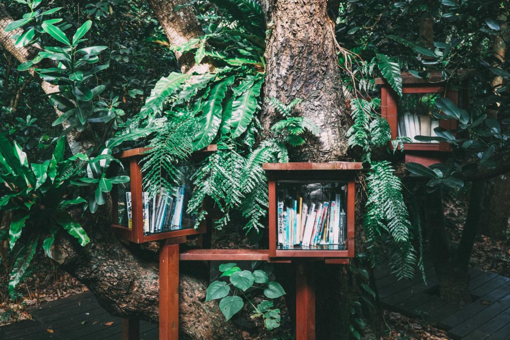 os livros e as plantas